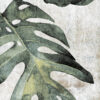 6 X 6 ZYX Amazonia Tropical Emerald porcelain tile (14 mixed patterns)<ul class="no-bullets li-cart-item">
                  <li>Nb Of Boxes: <strong>0</strong></li> 
                </ul>