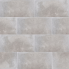 12 x 24 Fusion Silver Matte Porcelain Tile<ul class="no-bullets li-cart-item">
                  <li>Nb Of Boxes: <strong>0</strong></li> 
                </ul>