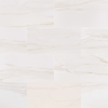 12 x 24 Ageless Charleston Matte Porcelain Tile