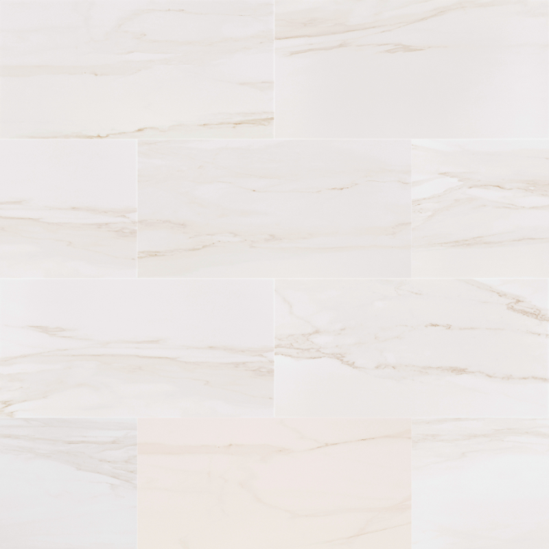 12 x 24 Ageless Charleston Matte Porcelain Tile
