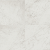12 x 12 Marmorea Carrara Matte Porcelain Tile<div class="no-bullets li-cart-item" >
                        Nb Of Boxes: <strong style="color:red;">1</strong> Covers <strong style="color:red;">0</strong> 
                      </div>